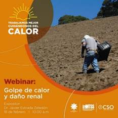 WEBINAR GOLPE DE CALOR