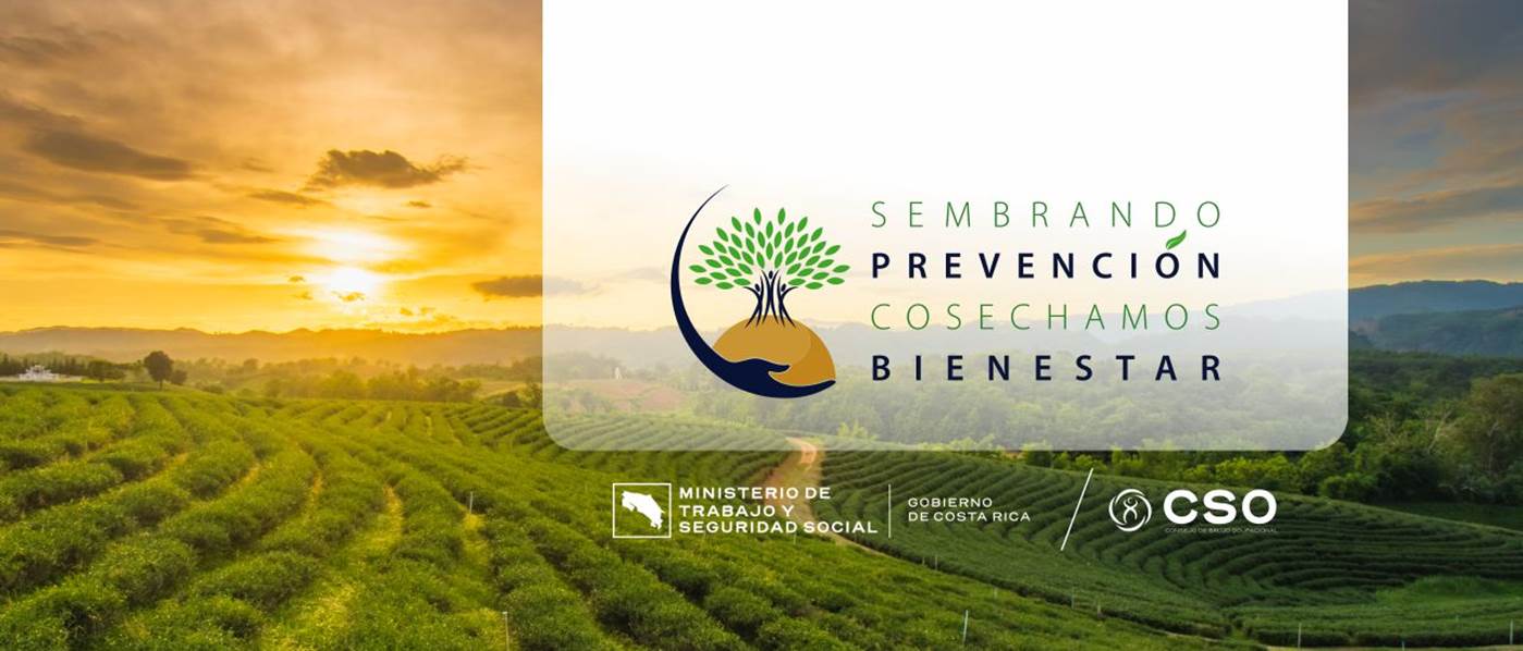 Salud Ocupacional en la Agricultura

Sembrado prevención cosechamos bienestar