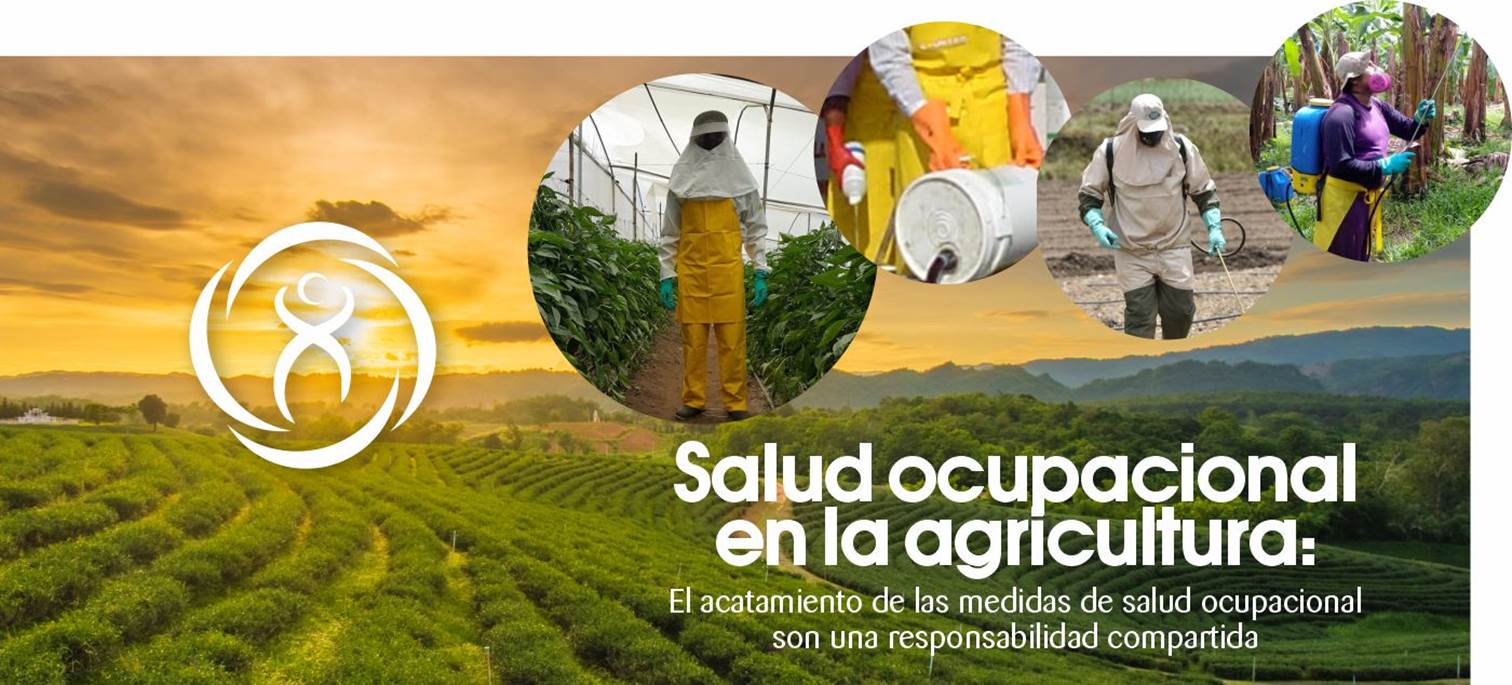 Banner principal Salud Ocupacional en el Sector Agrícola, El acatamiento de las medidas de salud ocupacional son una responsabilidad compartida