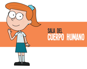 SALA CUERPO HUMANO